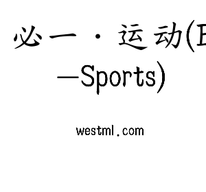 深圳市必一·运动(B-Sports)电子有限公司官网